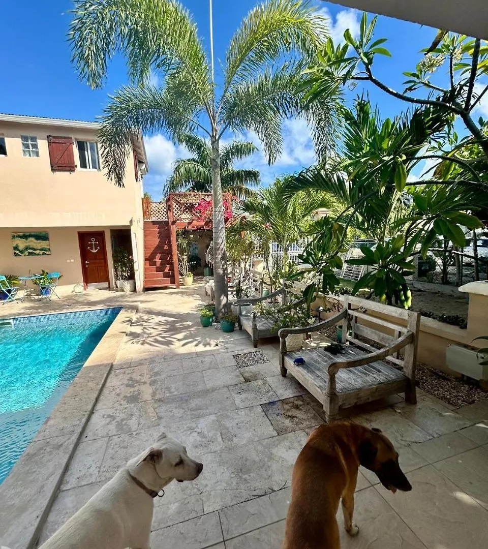 Sea Shell Villa Grand Case 0*,